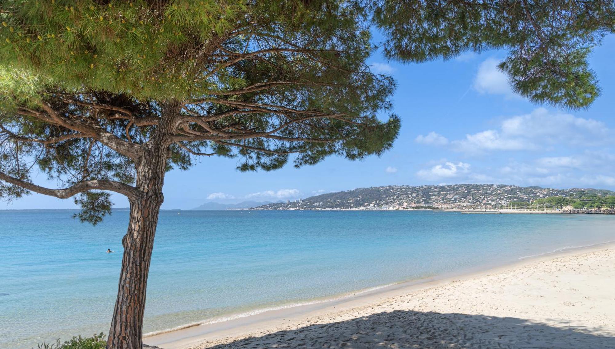 Les 15 Pins & La Mer -Your Green Getaway Near Sea & Beach Antibes Kültér fotó